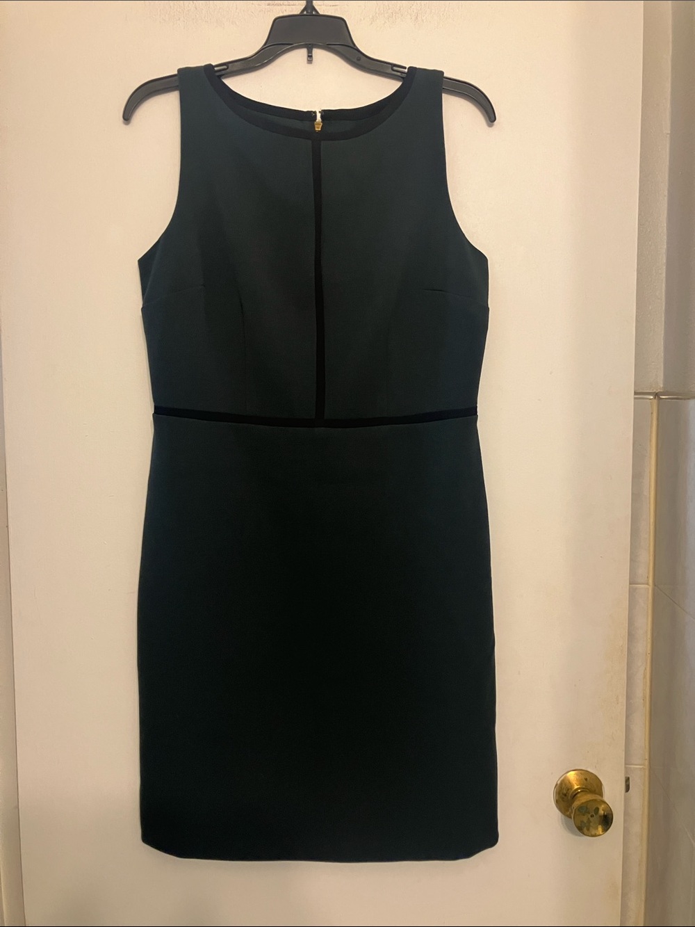 Ann Taylor LOFT  Pine Green Fitted Sheath Dress black detailing  8 petite NWT